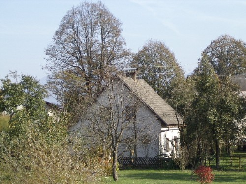 Zeluce 191003 021.jpg